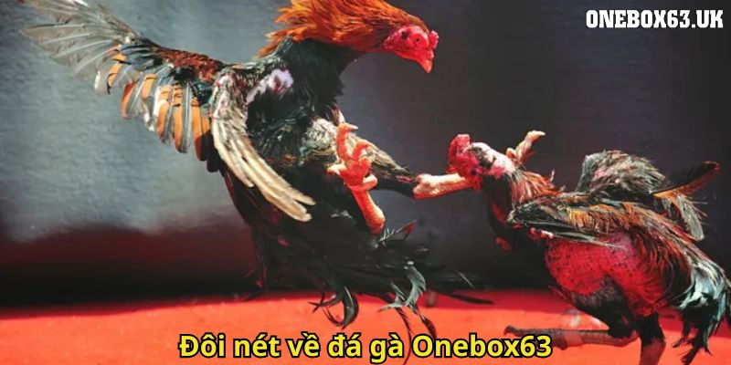 Đá Gà Onebox63: Trải Nghiệm Cá Cược Gà Chọi Đỉnh Cao 1 Đôi nét về đá gà Onebox63