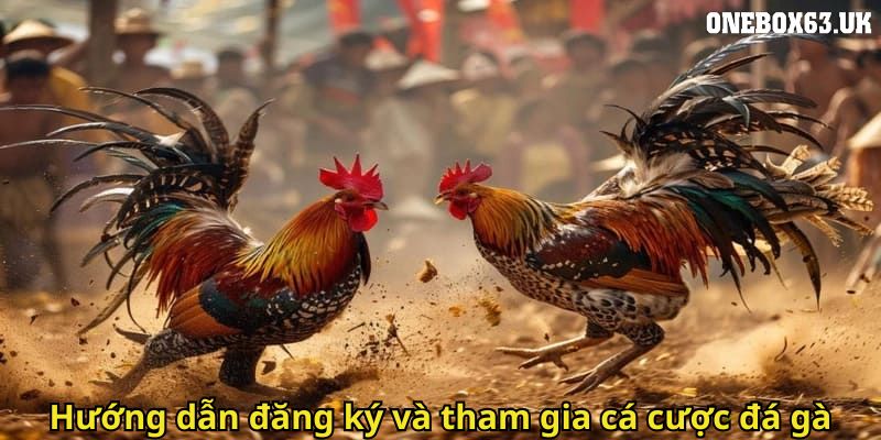 Đá Gà Onebox63: Trải Nghiệm Cá Cược Gà Chọi Đỉnh Cao 3 Hướng dẫn đăng ký và tham gia cá cược đá gà