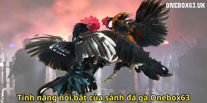 Đá Gà Onebox63: Trải Nghiệm Cá Cược Gà Chọi Đỉnh Cao 2 Tính năng nổi bật của sảnh đá gà Onebox63